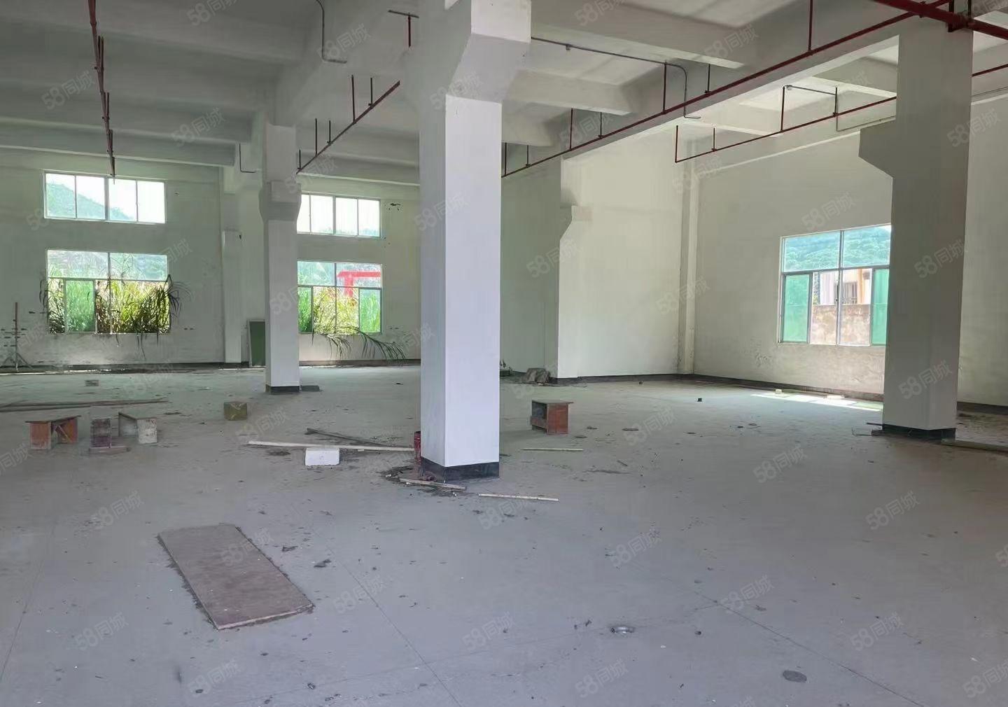 大亚湾塘布村新出独门独院标准厂房9500平出租可分租。