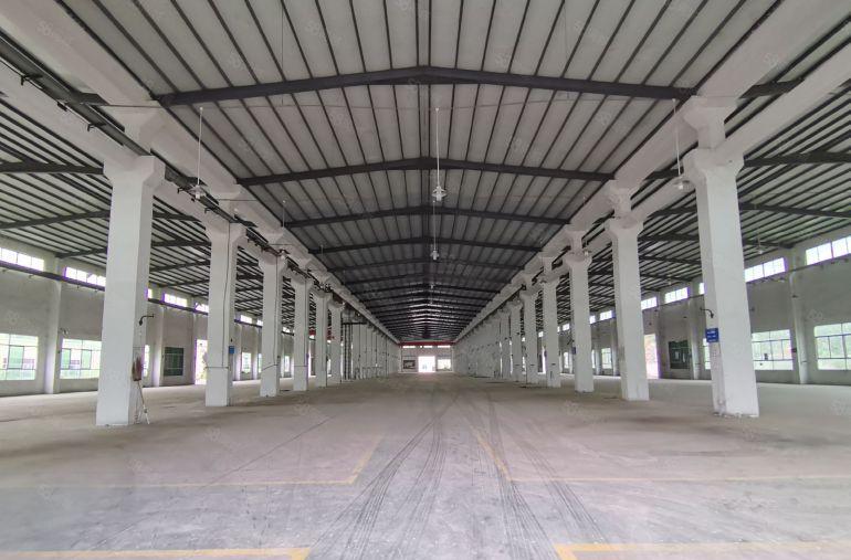 临深大亚湾西区滴水8米独院钢构厂房4200平方低价大小可分租