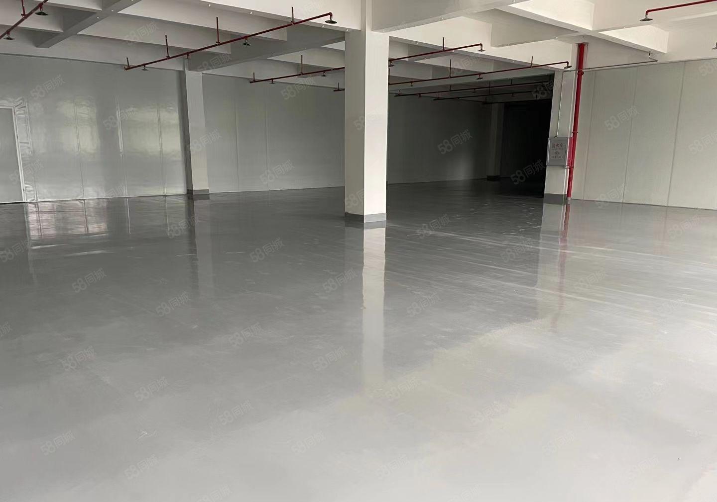 大亚湾全新厂房大小可分租