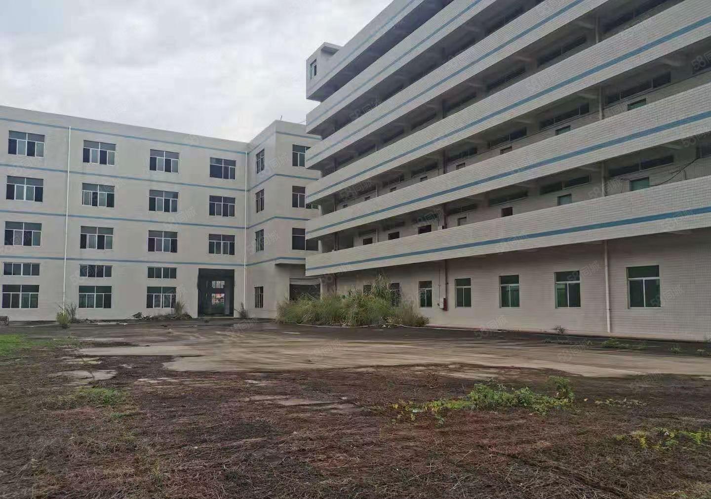 大亚湾塘布村新出独门独院标准厂房9500平出租可分租。