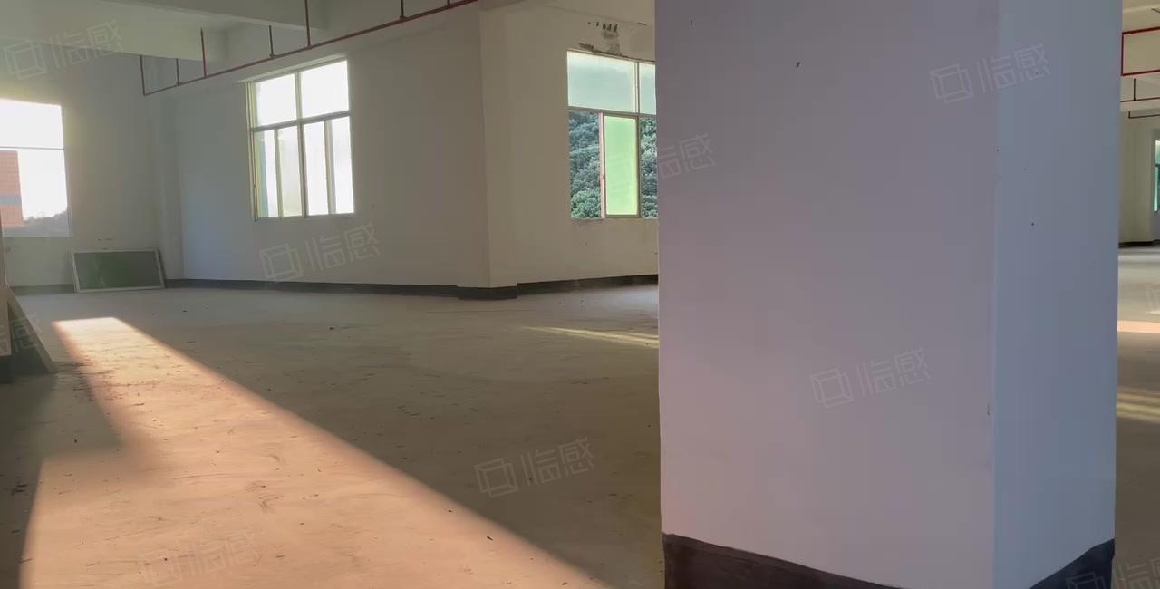 大亚湾塘布1万平独院厂房出租 层高6米 空地4千平 行业不限