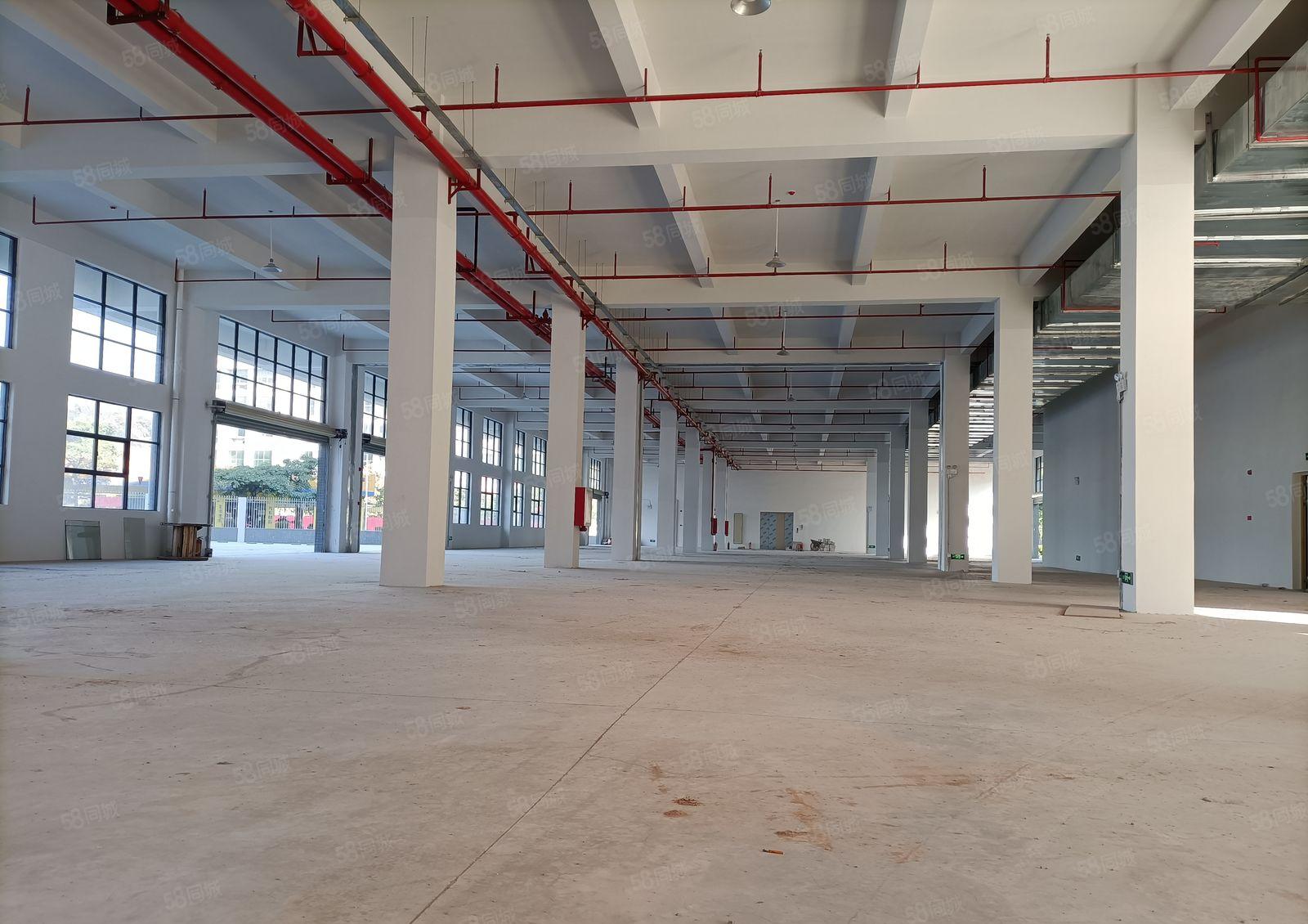 临深3公里有一手房东放租一楼厂房3000平可分割滴水7米