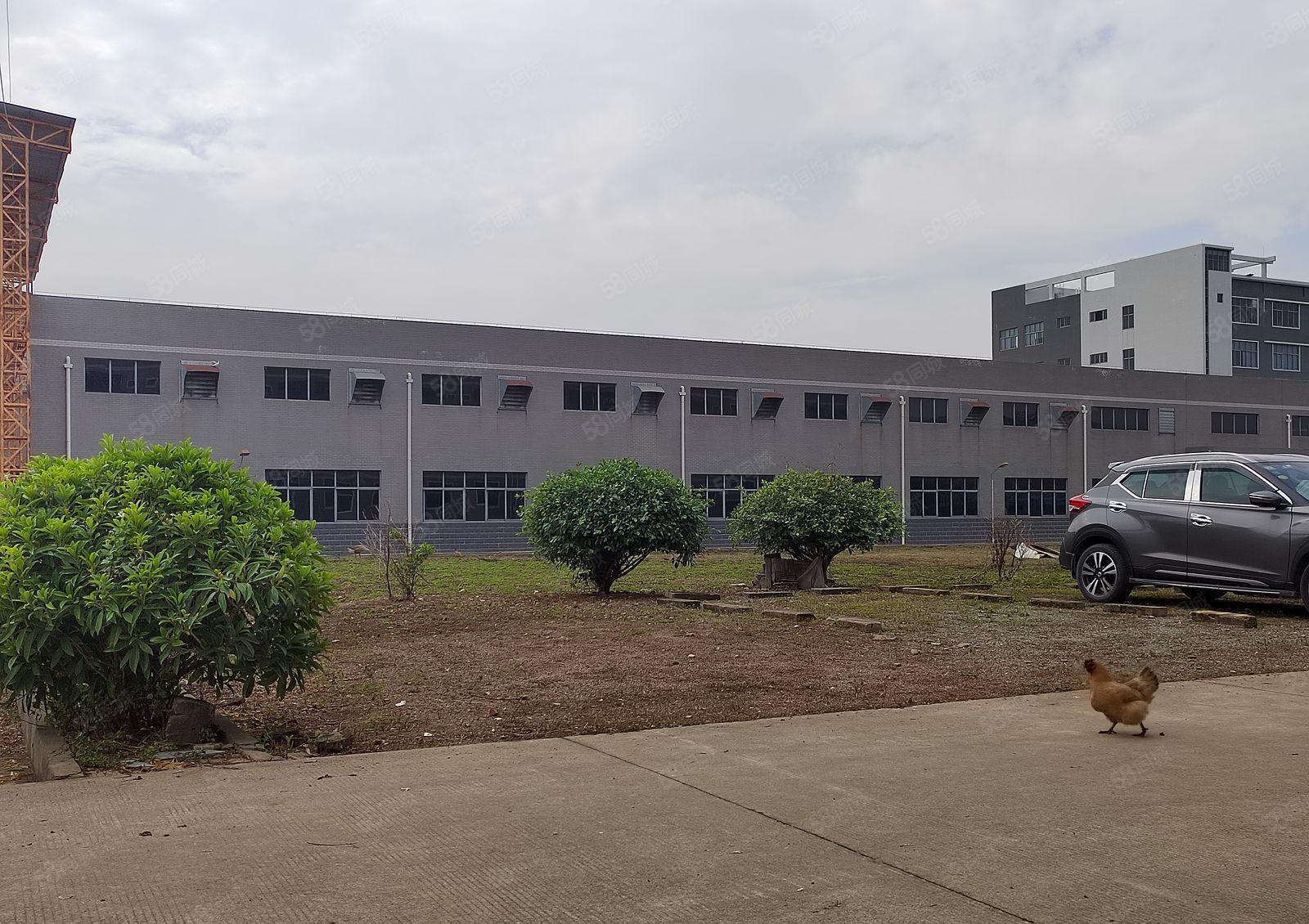 原房东5000平方米，单一层厂房出租，高度10米，有5台行车