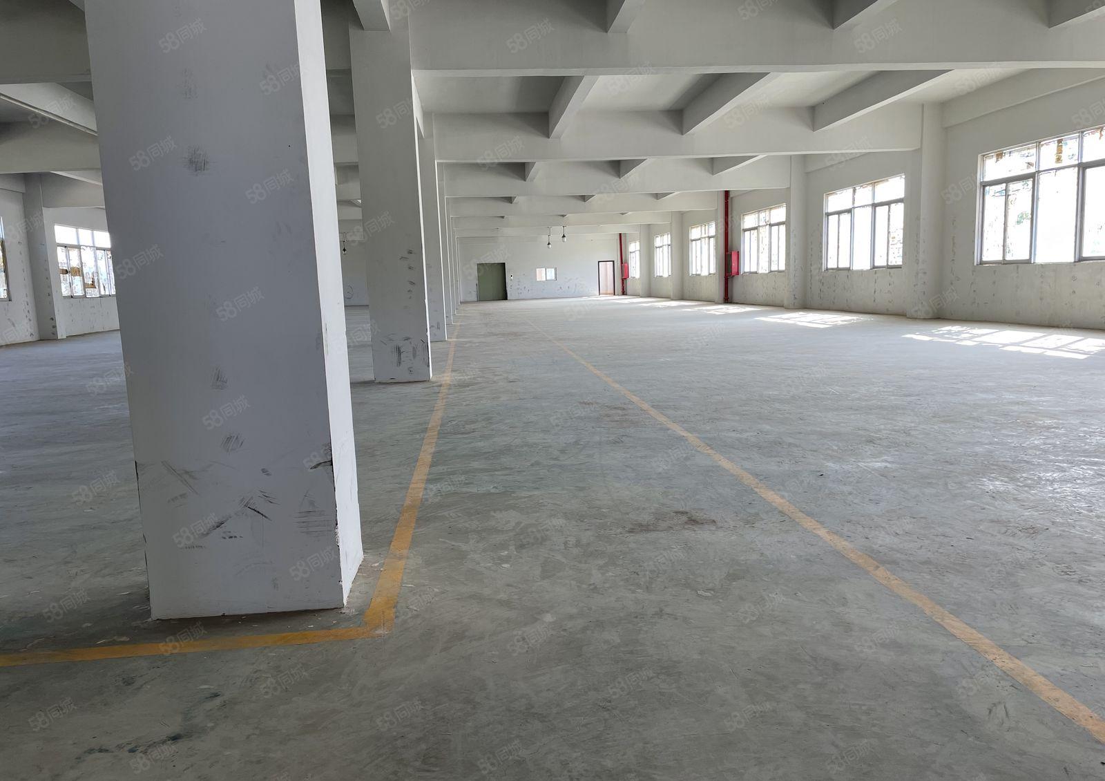 （含税）大亚湾西区原房东标准3层独院实际面积3670平出租