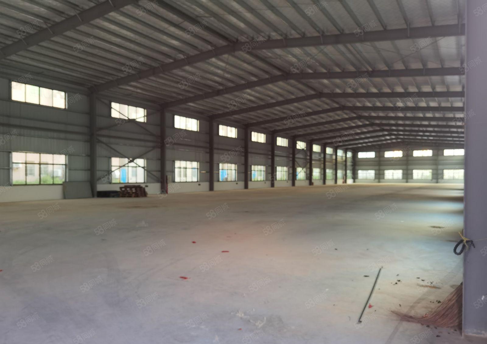 临深厂房层高2米   红本厂房   一手房东