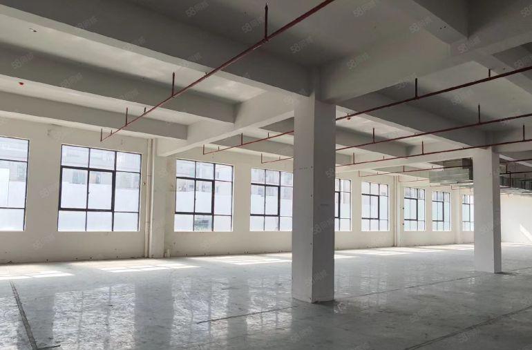 惠州大亚湾产业园，低价厂房出租12一方，