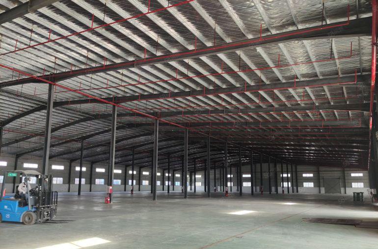 低价大亚湾西区滴水9米钢结构厂房仓库10000平方出租可分租