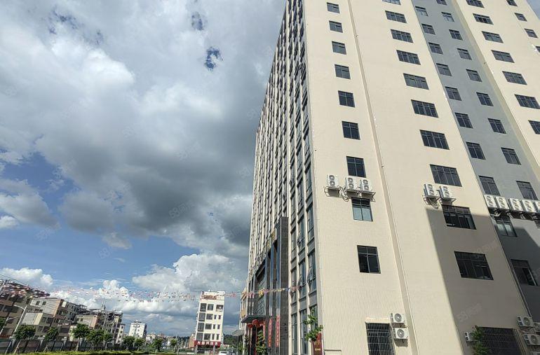 大亚湾全新标准厂房出租整层4200平电梯五吨3年不递增原房东