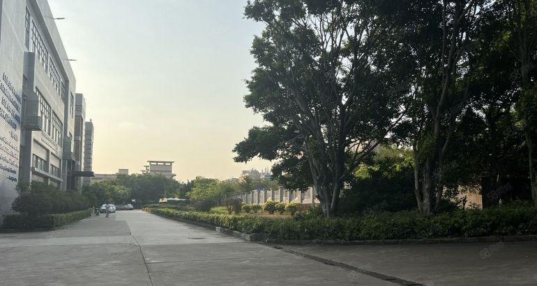 大亚湾万达旁新出单层面积5000平卸货平台原房东直租无公摊