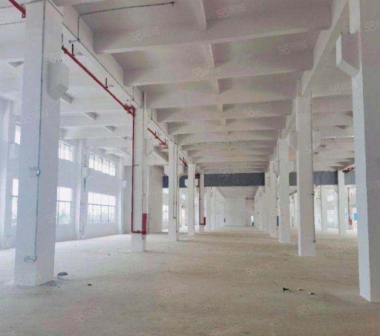 10元新建，3000平可分，原房东全新厂房仓库出租，高使用率