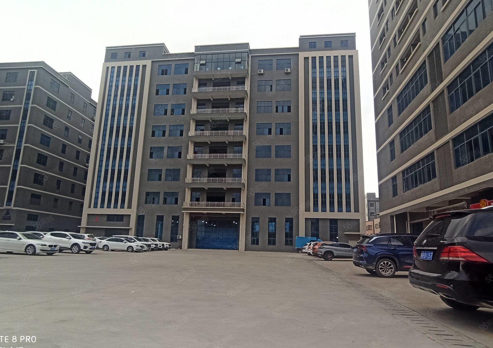 大亚湾2万平全新红本厂房出租，500平起分