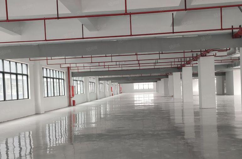 10块，大亚湾全新2000平标准厂房仓库出租，带地坪漆可分租