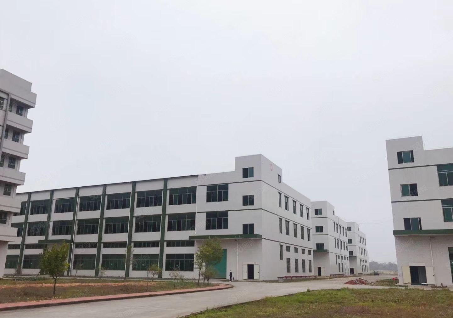 4万平米工业园火热招租（可整租分租）