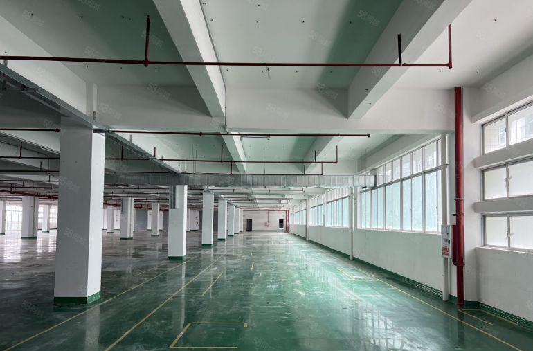 10元起大亚湾新出原房东实际面积带装修厂房仓库低价出租可分租