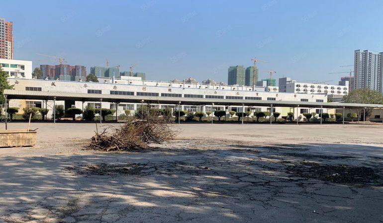 13元13元!惠州大亚湾9米高钢构厂房1.3万低价出租可分租