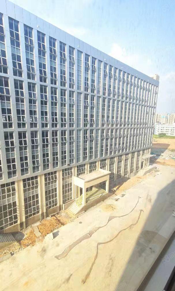 大亚湾西区全新厂房招租，厂房和两栋宿舍，园区有食堂 可分租