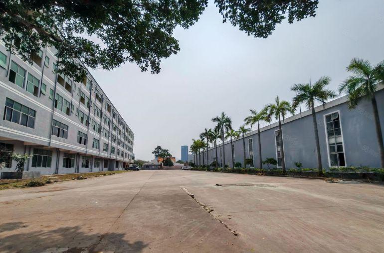 大亚湾独院钢构厂房9米高超大空地可做物流，仓库大型设备生产