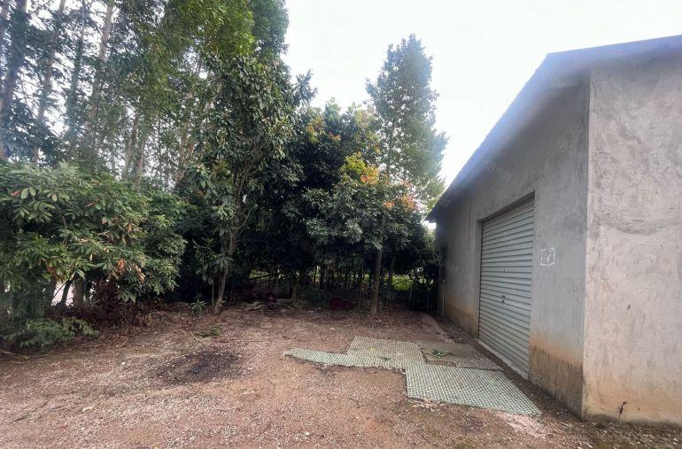 大亚湾原房东直招单一层厂房，不限制行业。