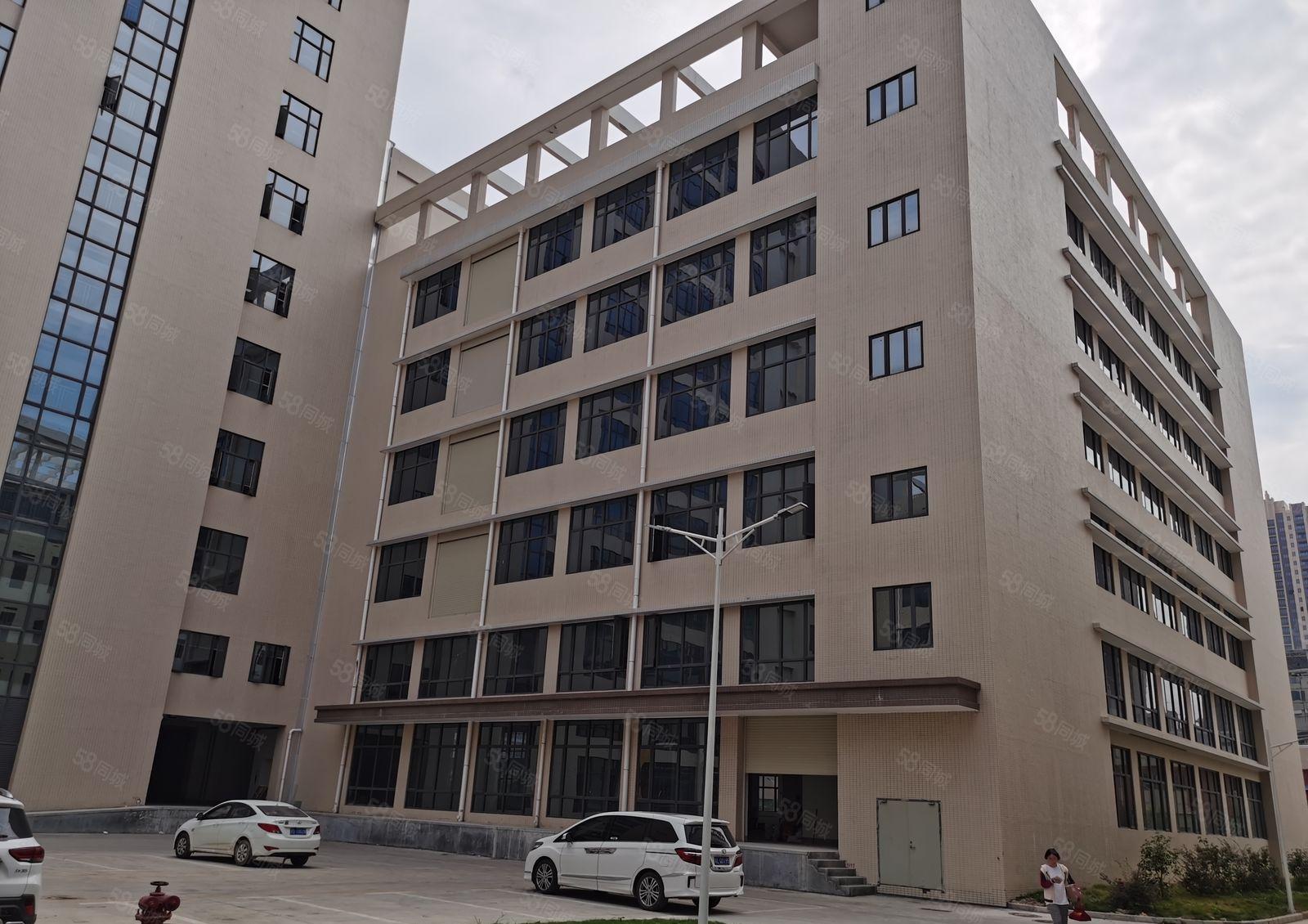 大亚湾区全新工业园标准厂房五万平米出租