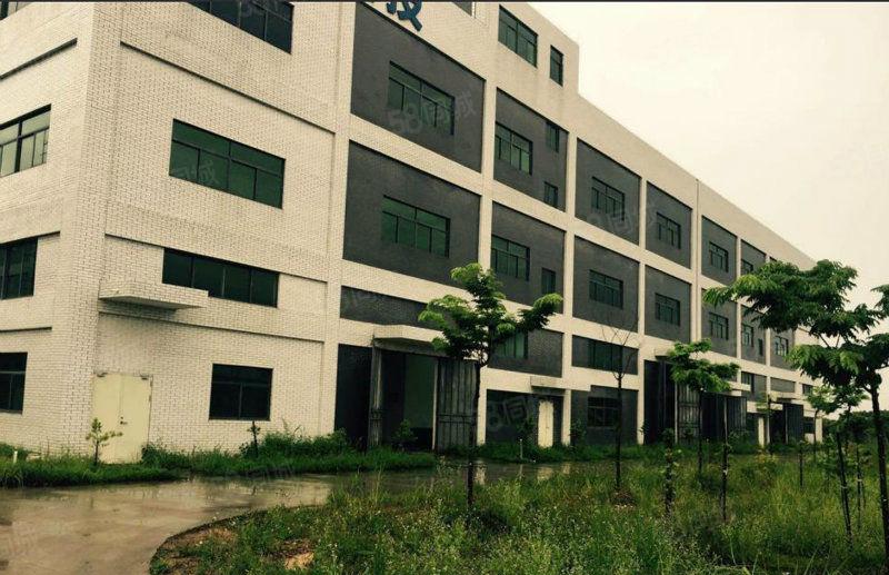 大亚湾西区新出标准厂房16000平大小可分证件齐全