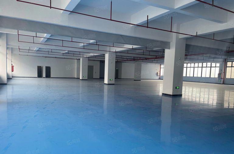 大亚湾临深楼上2000平厂房带5吨货梯低价出租 园区配套齐全