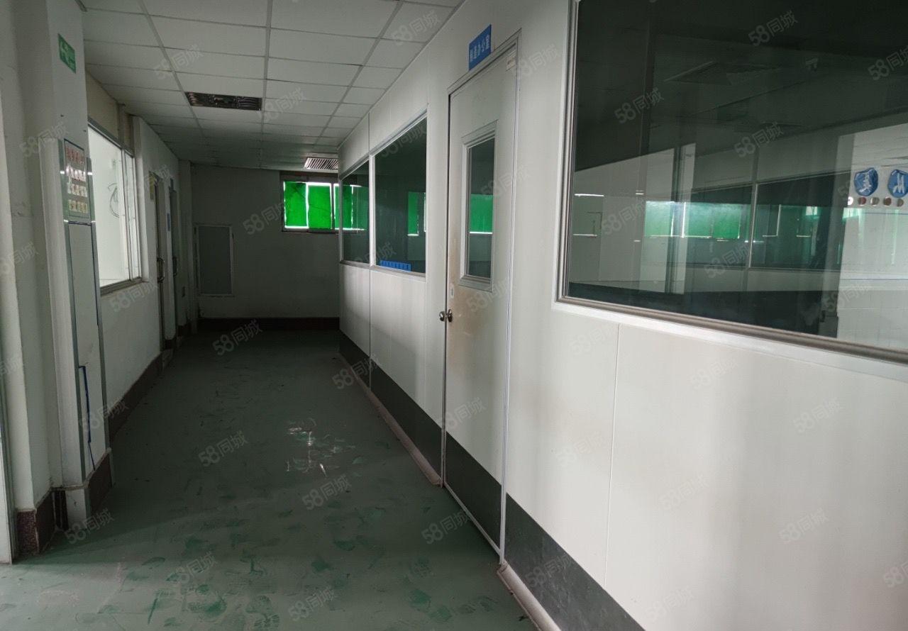 (带装修)大亚湾科技园工业园厂房1000平可分租形象好