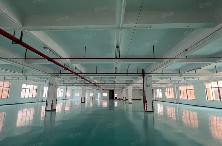 大亚湾新出原房东楼上2000平带装修厂房仓库低价出租可分租