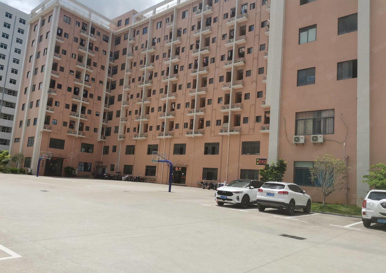 （上市公司形象）西区龙海三路附近原房东园区厂房出租780平