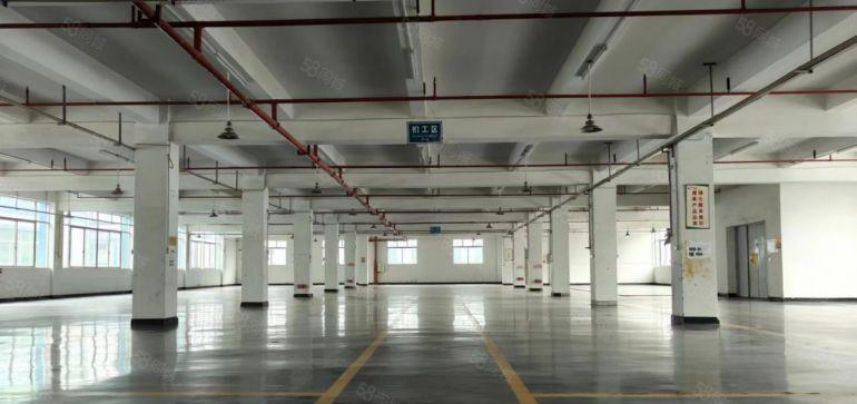 大亚湾西区300平 420平 540平厂房出 现成精装办公室