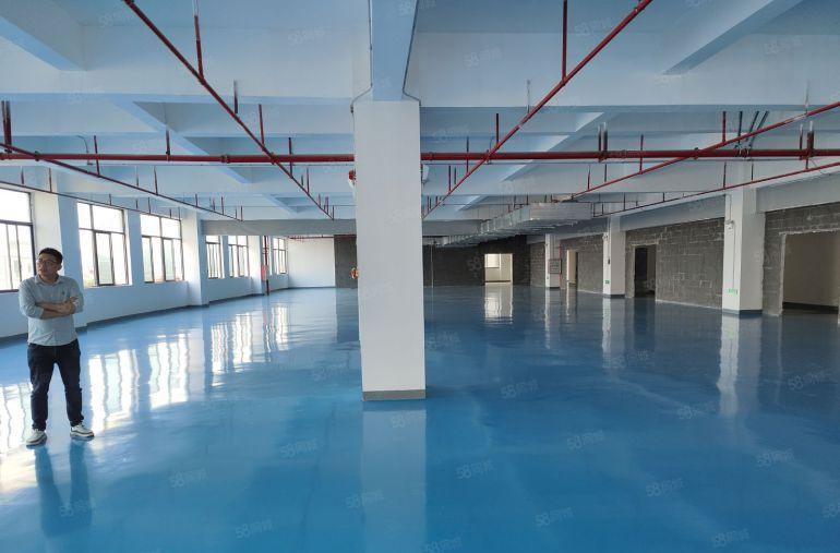 低价10元大亚湾西区3000平方带装修厂房出租原房东可办环评