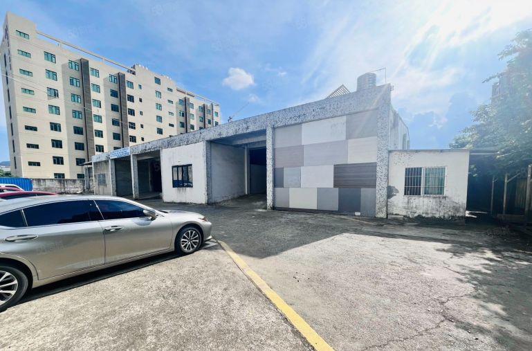 高8米2900平原房东独门独院钢构带精装修办公室带卸货台