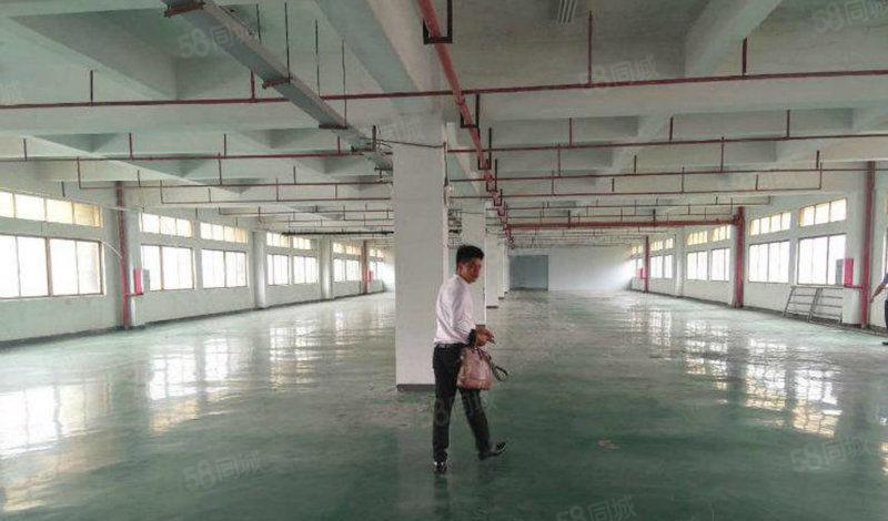 大亚湾西区新出标准厂房16000平大小可分证件齐全