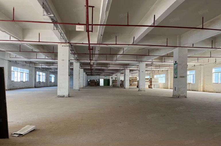 惠阳原房东工业厂房 现成喷油房环境优美