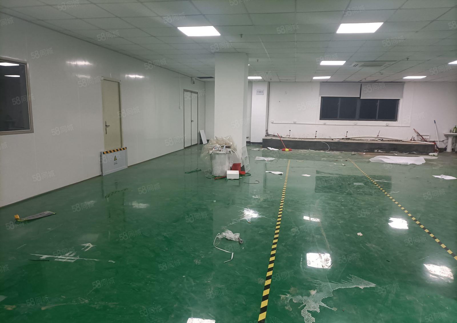 星华工业园800平无尘车间出租离坪山3公里处