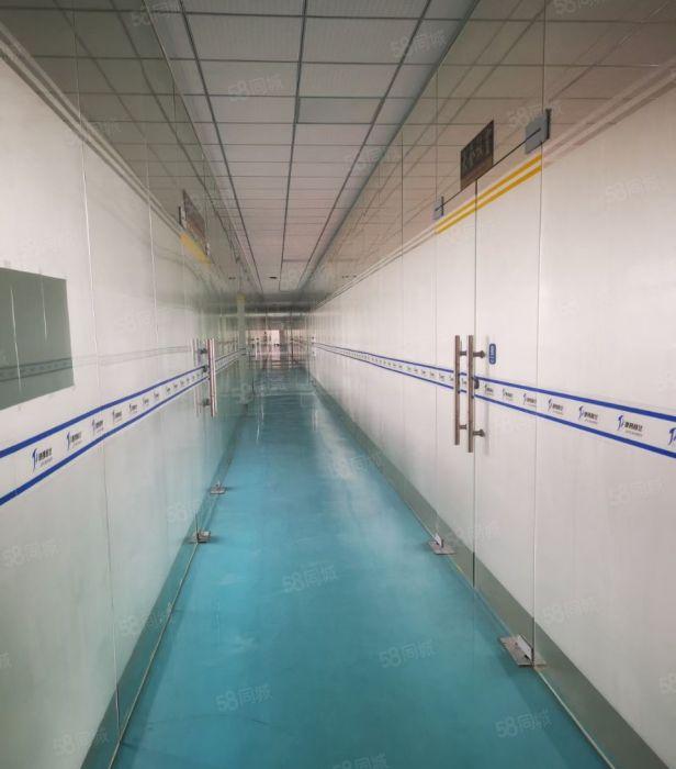 大亚湾10元出租13380平独栋厂房高7.8米位于