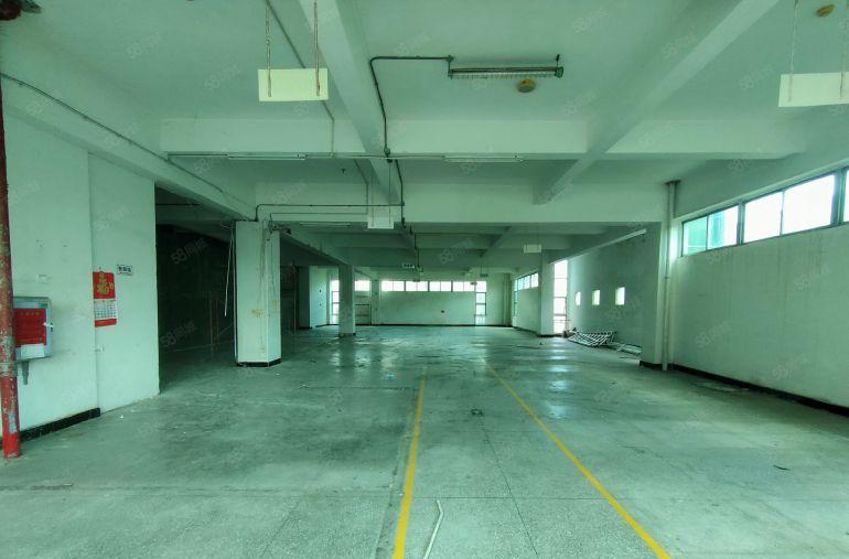 临深工业园尾盘招租 大小可分 价格便宜 大亚湾西区花园式厂房