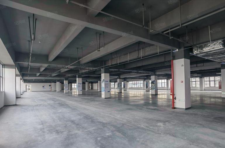 9元临深大亚湾楼上全新标准厂房2000平，带喷淋水电到位