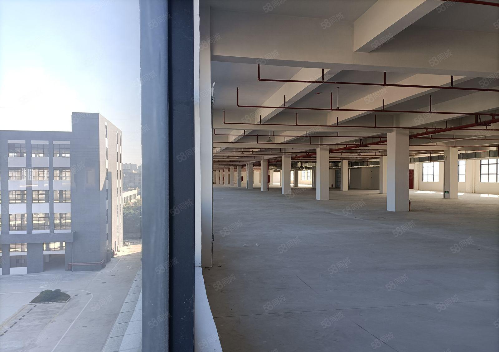 10元厂房大亚湾全新厂房3吨双开货梯1000平方可分割