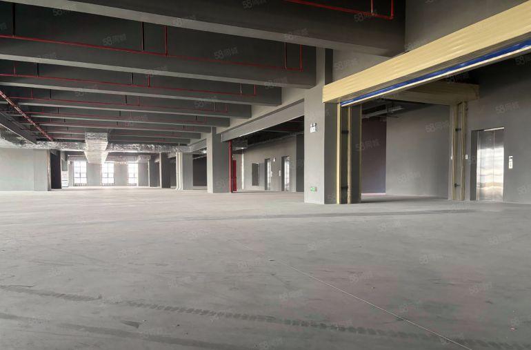 9元！大亚湾西区临深单层3000平红本实际面积厂房仓库出租