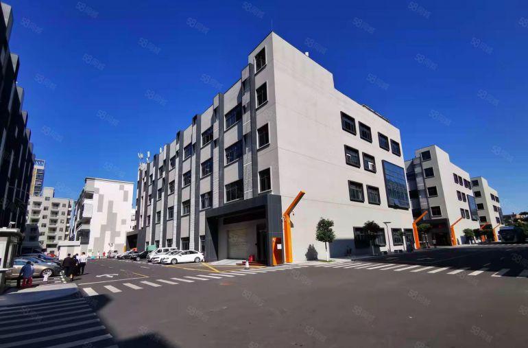 龙光城附近原房东一二楼各2000平全新厂房低价出租