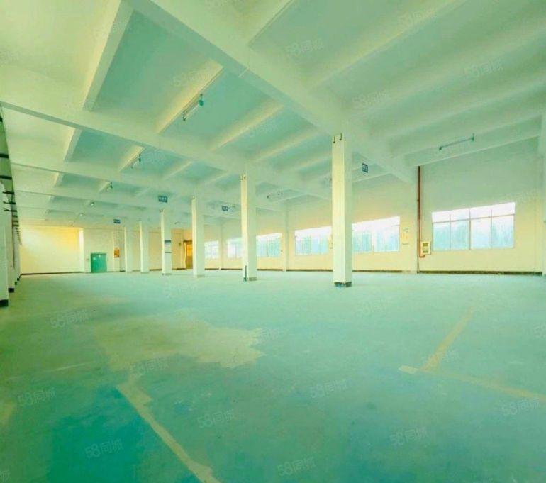 临深9元厂房，1000平精装修，原房东厂房仓库出租，高使用率