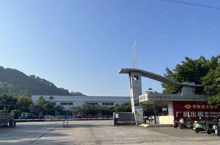 17元一平大亚湾中心区现成办公室全新地坪漆厂房