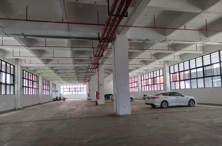 大亚湾西区一楼2000平仓库生产拎包入住大小可分租，楼上都有