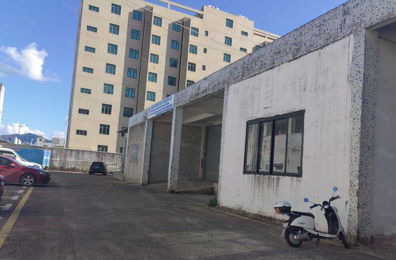 临深地段独门独院一楼钢构面积2800平，大小面积可分租九成新