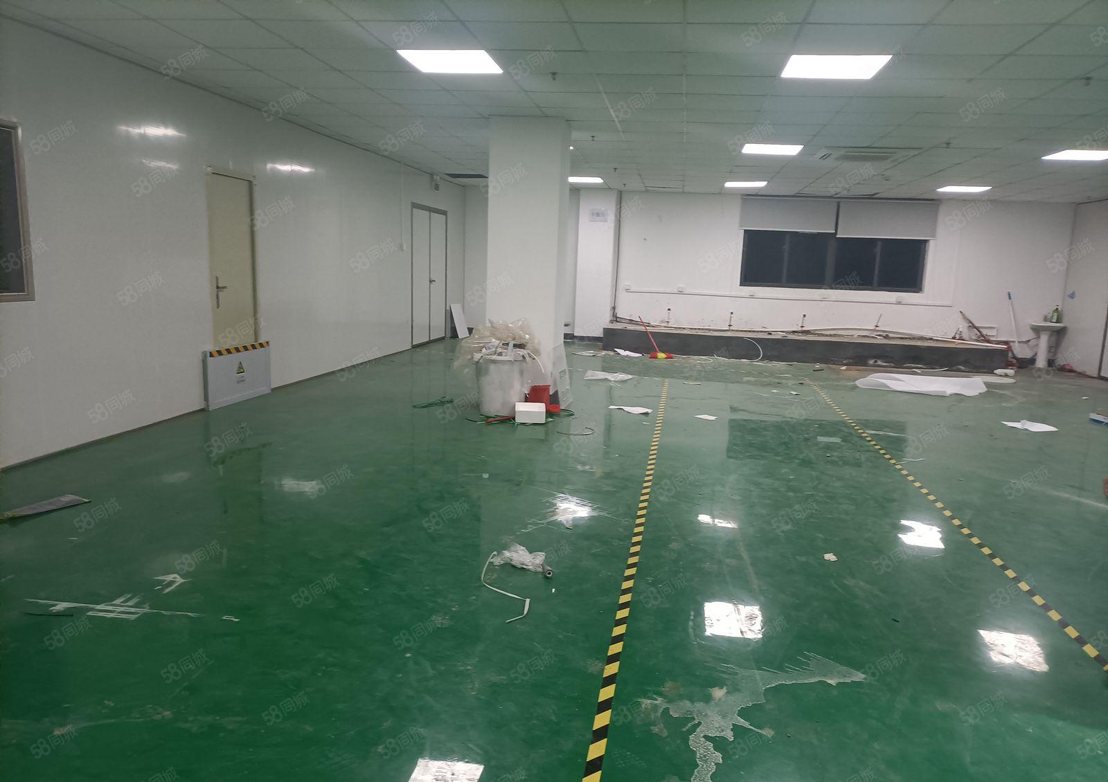 星华工业园800平无尘车间出租离坪山3公里处