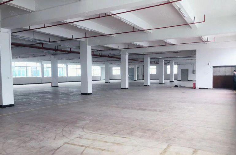 大亚湾临深独门独院，5000平可分租，空地大，低价出租