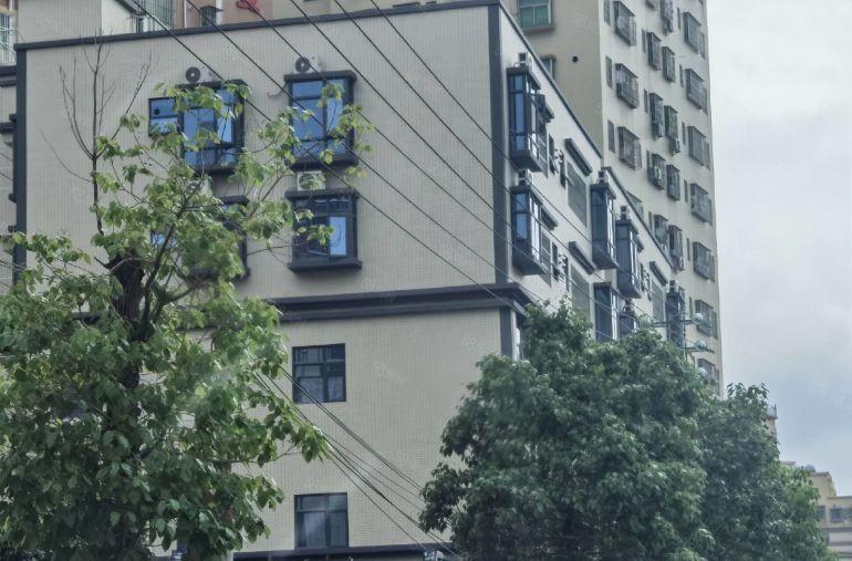 成交返佣半个月  新寮新装修电商办公楼500平方出租。