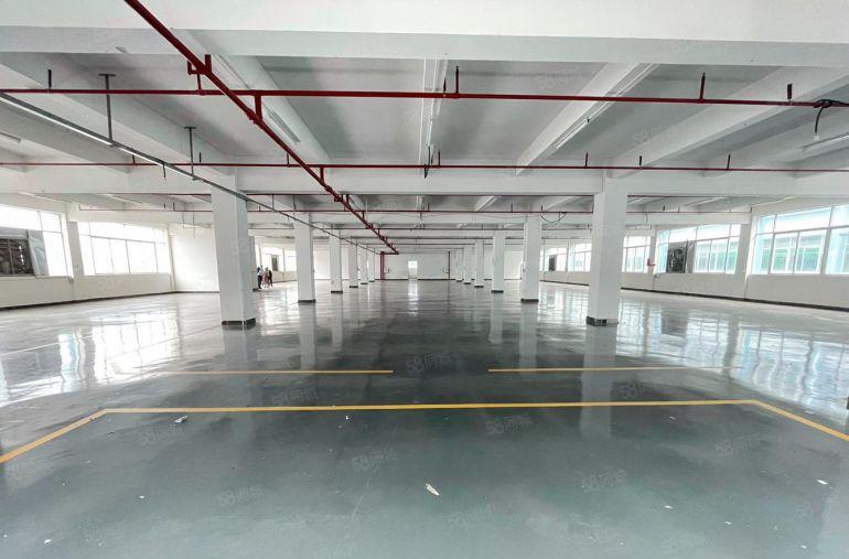 10元大亚湾临时红本独院2000平200平起厂房仓库低价出租