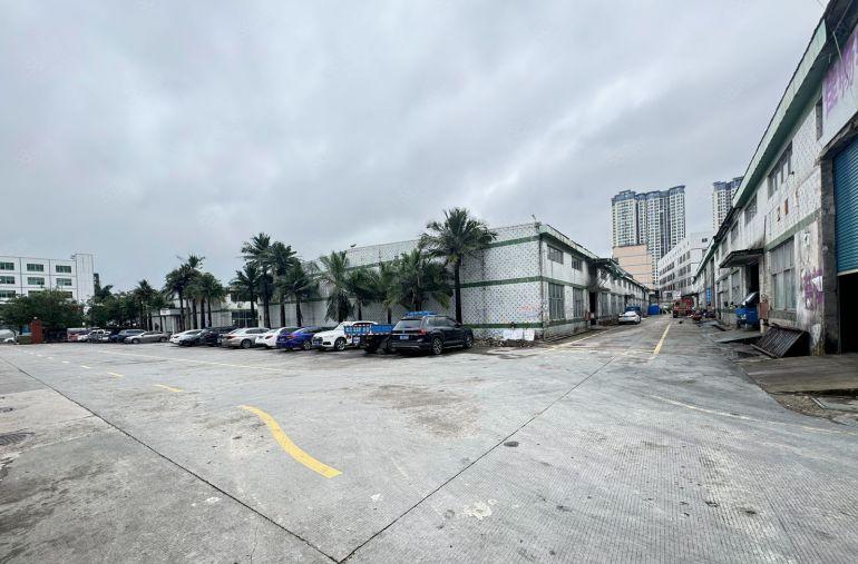 16块大亚湾龙海二路滴水8米3000平方钢构厂房实际面积出租