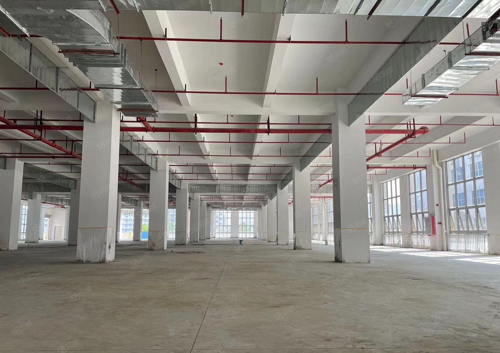 原房东实量面积厂房出租惠阳大亚湾2.4万平16元仓库出租分租